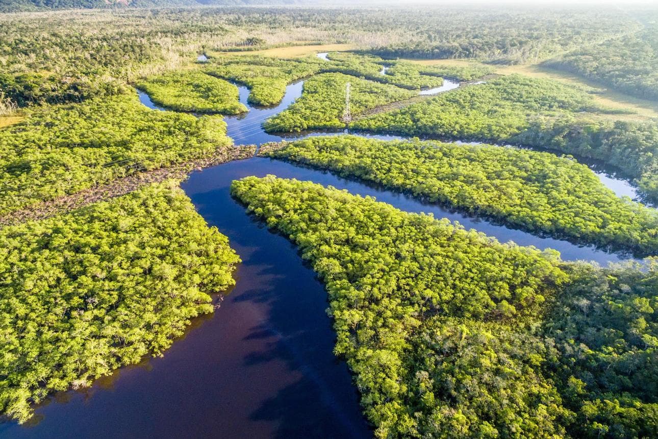 Amazon Rainforest Expedition